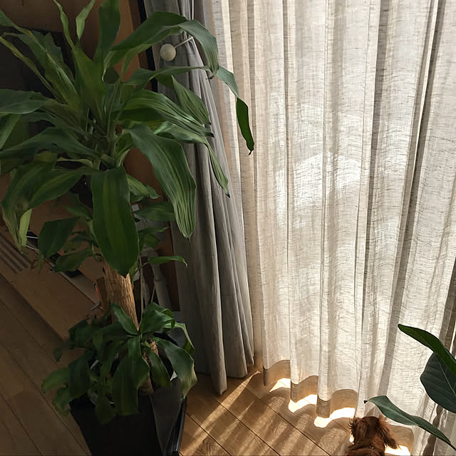 aimo8959さんの実例写真
