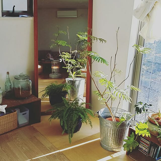 kuuuuさんの実例写真