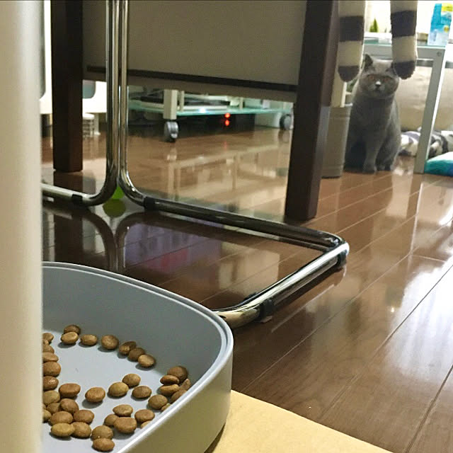 kittyさんの実例写真
