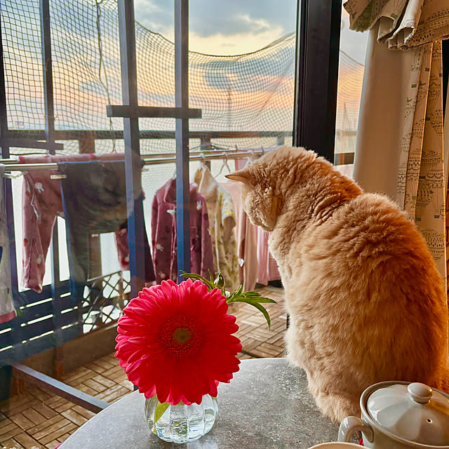 naokoさんの部屋