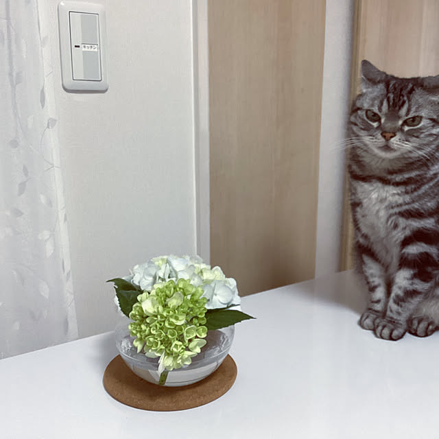 richanさんの部屋