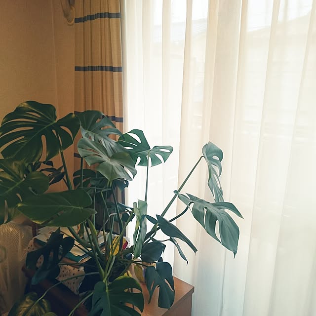chii11220217さんの実例写真