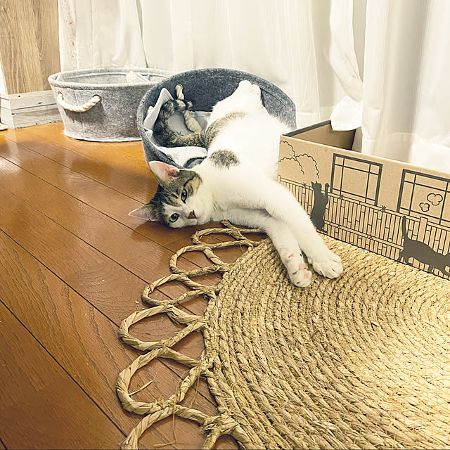 Lufuさんの実例写真