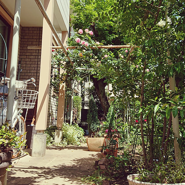 botanさんの実例写真