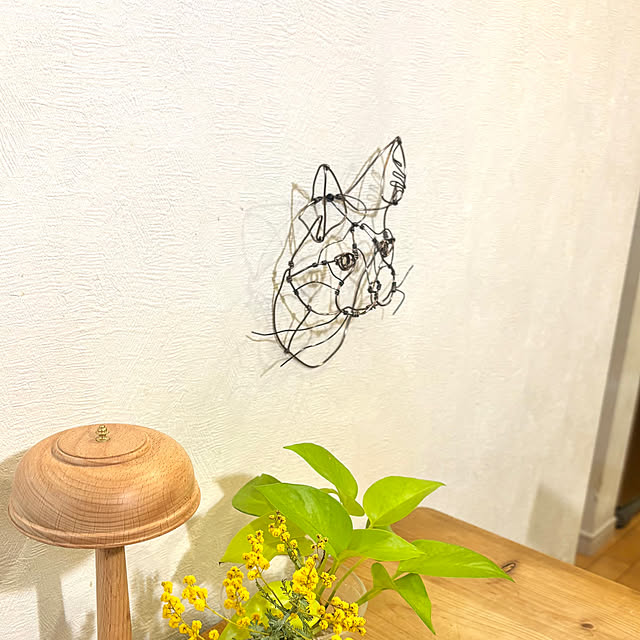 greycatsさんの部屋