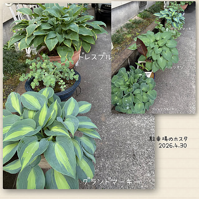 buchiさんの部屋