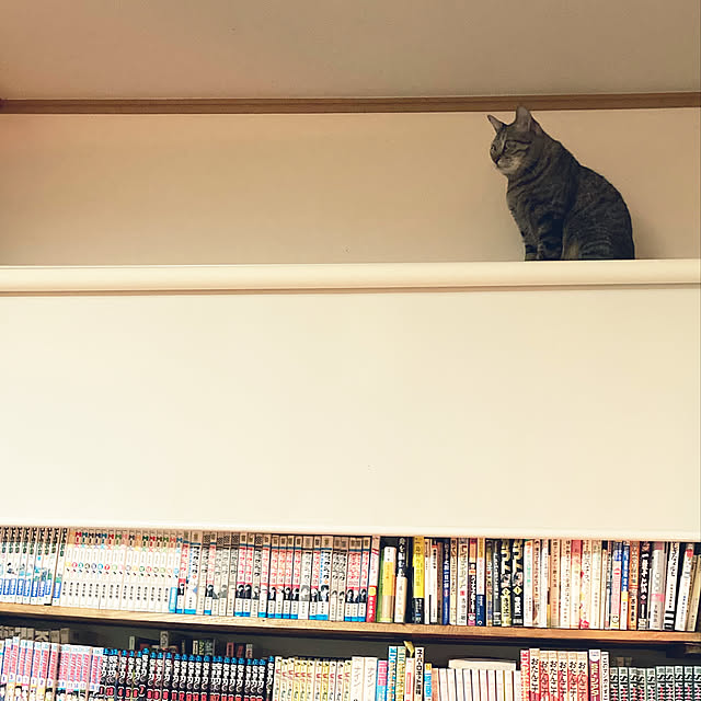 mikan161さんの実例写真
