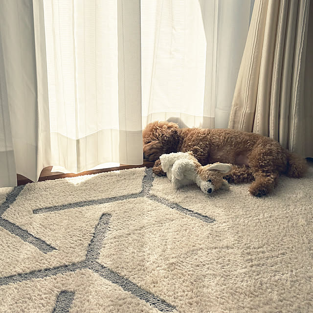 kawauso15さんの部屋