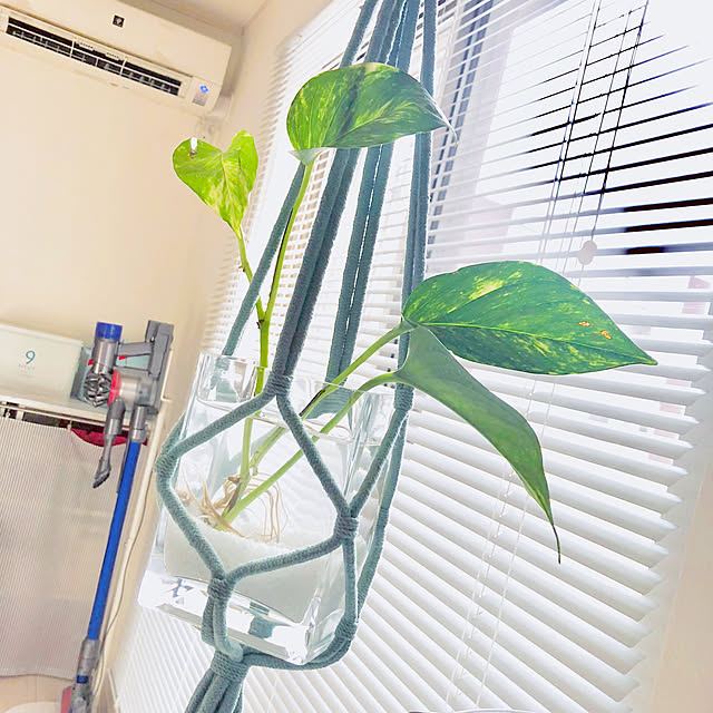 suzyさんの実例写真
