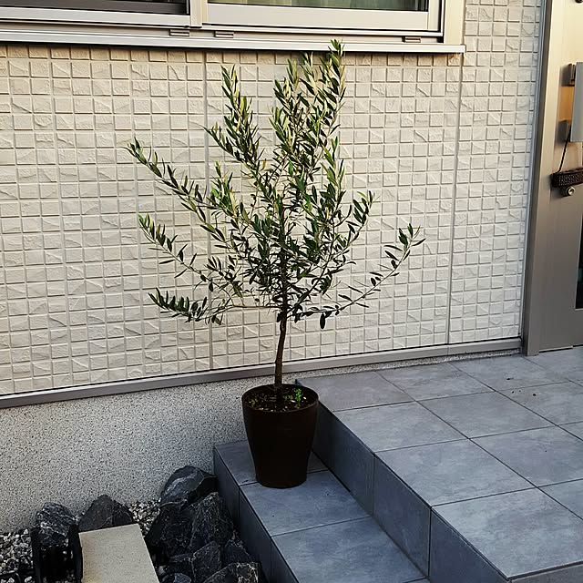110cafeさんの実例写真
