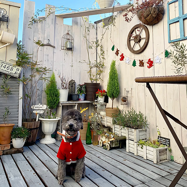 makoriさんの実例写真