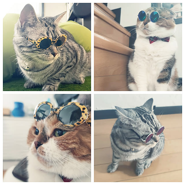 hiro3さんの実例写真