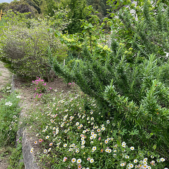 natsumiさんの実例写真