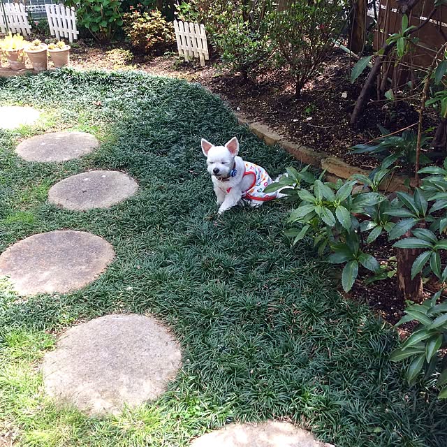 kuruさんの実例写真
