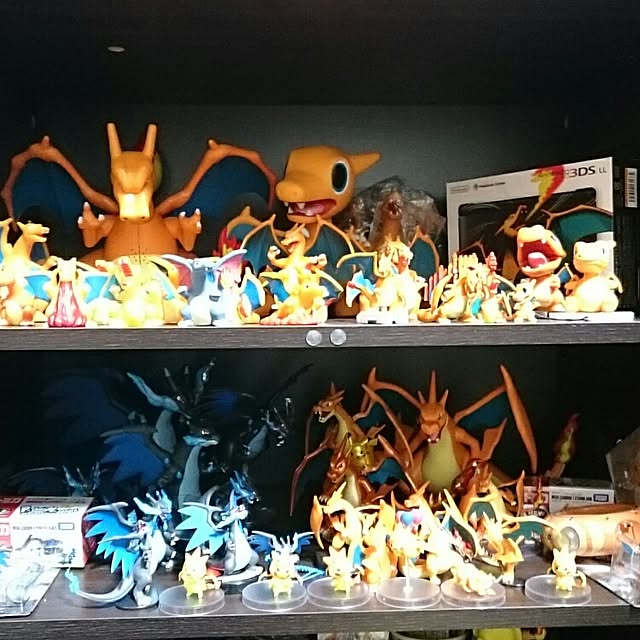 taka83Lizardonさんの実例写真
