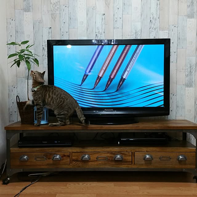 poniさんの実例写真