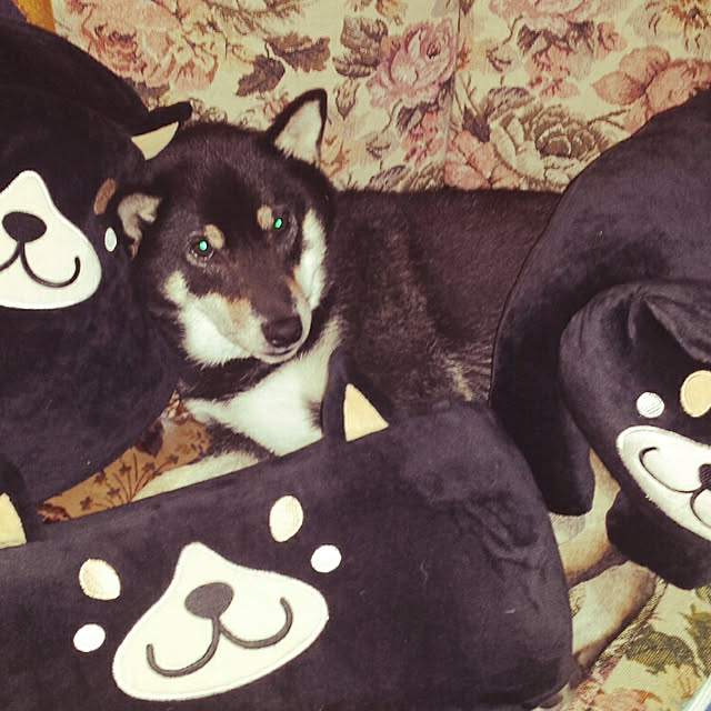 tsutawarimasuさんの実例写真