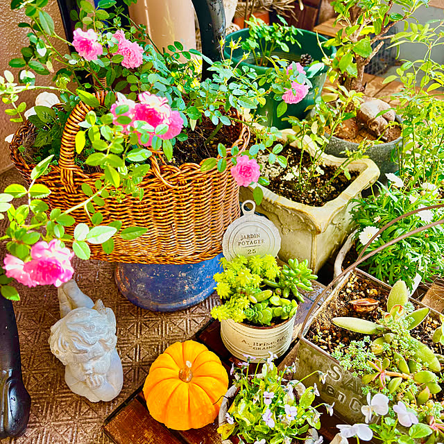 naokoさんの実例写真