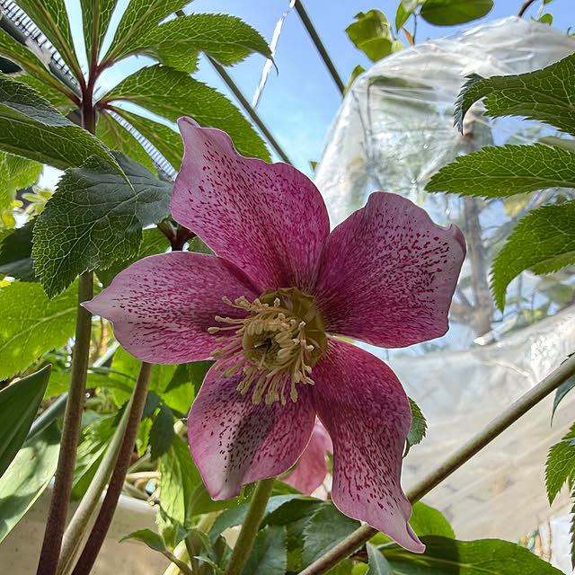 Aqettyさんの部屋