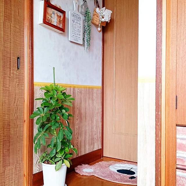 k-mamaさんの実例写真