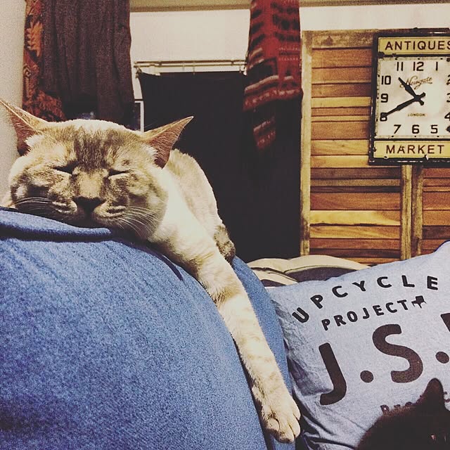 Naoki.さんの実例写真