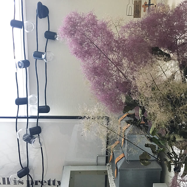 amipamaさんの実例写真