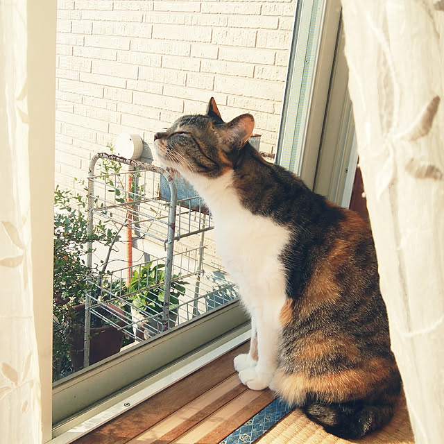 tomo1220さんの実例写真