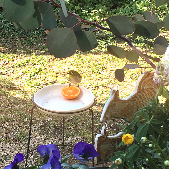 magさんの実例写真