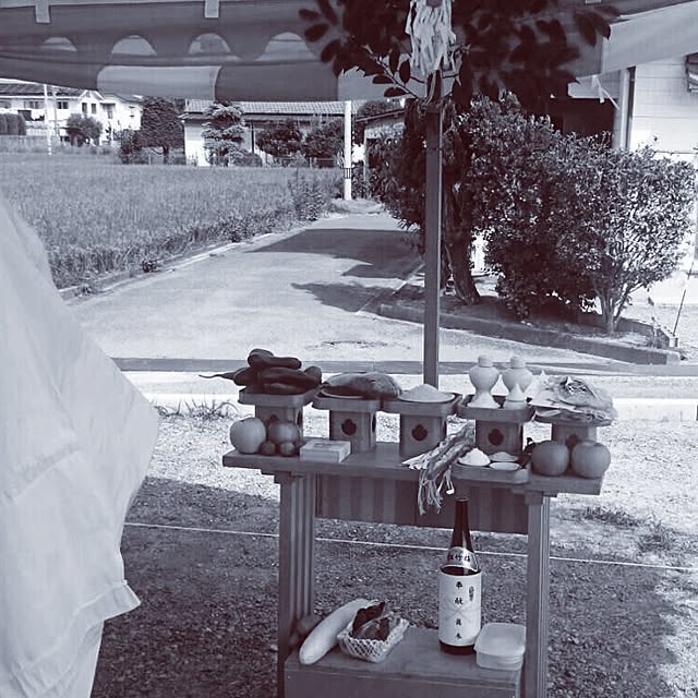 実例写真