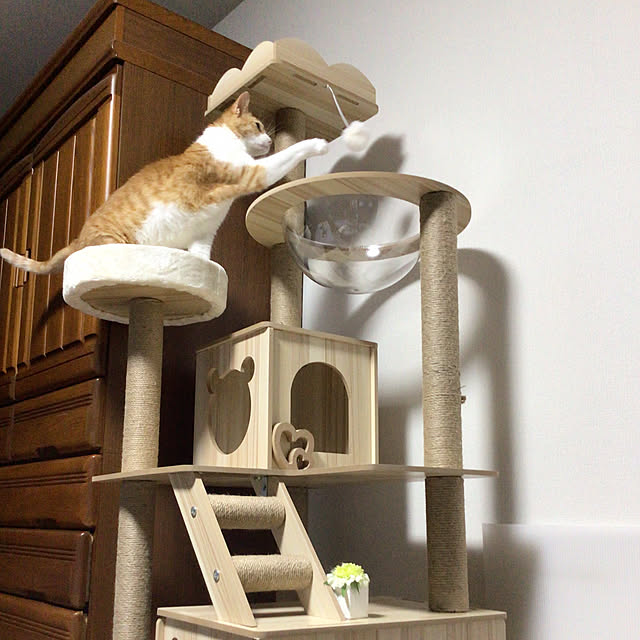 houenさんの部屋