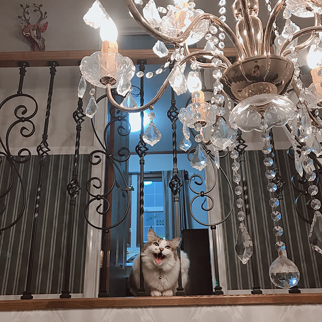 Mutsumiさんの実例写真