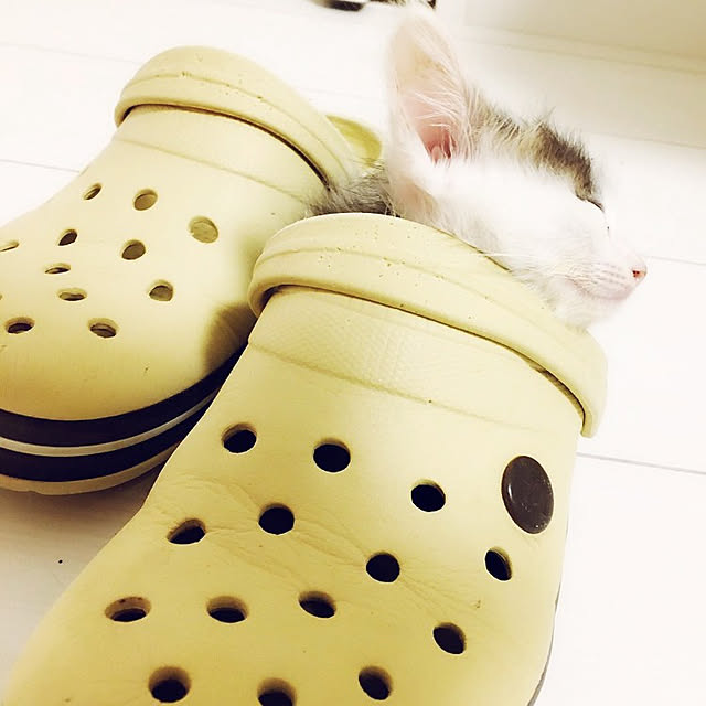 ray925さんの実例写真