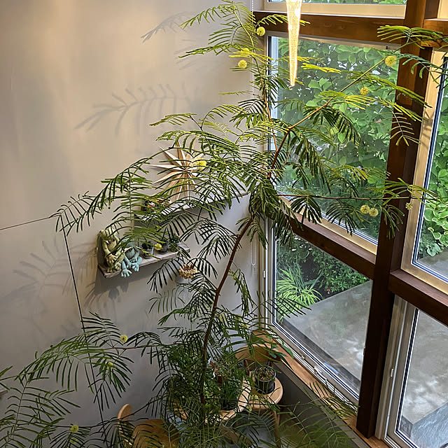 micさんの部屋