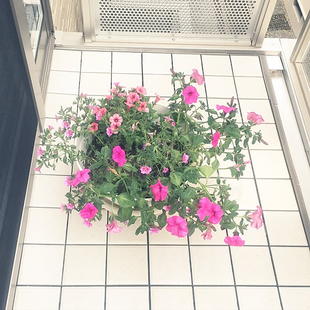 creamskimmingさんの実例写真