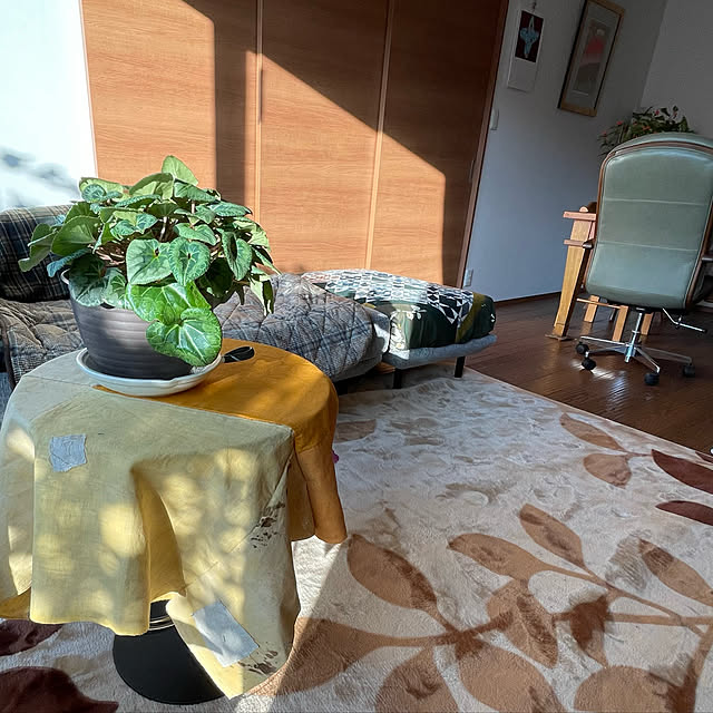 buchiさんの実例写真