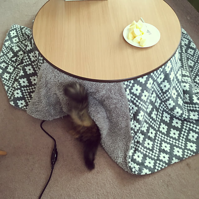 mikomaruさんの実例写真