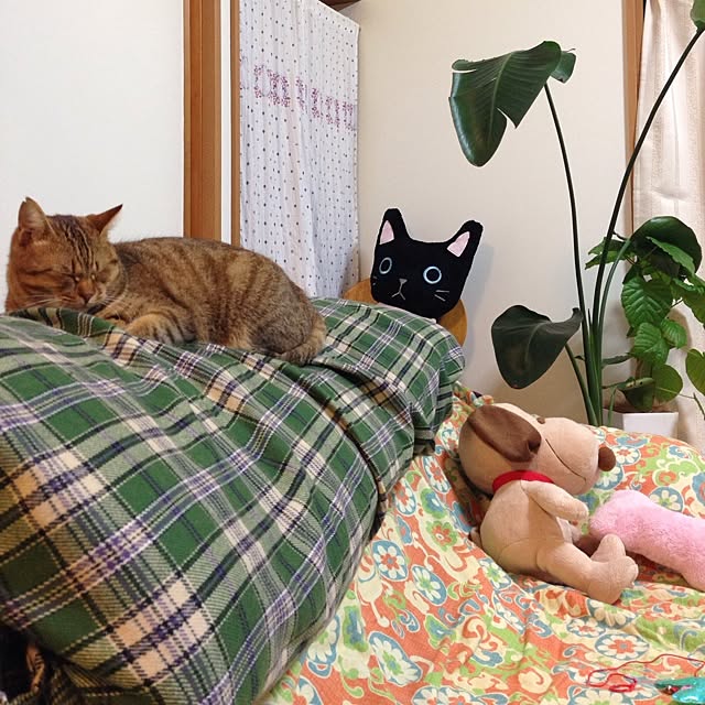 monpさんの実例写真