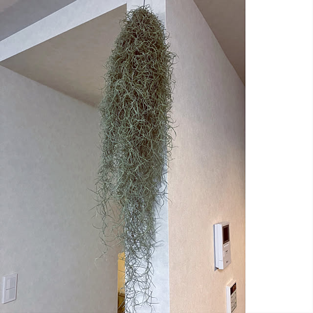 kmskさんの部屋