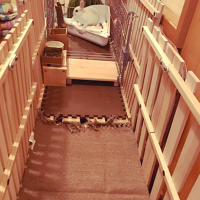 miccho55さんの実例写真