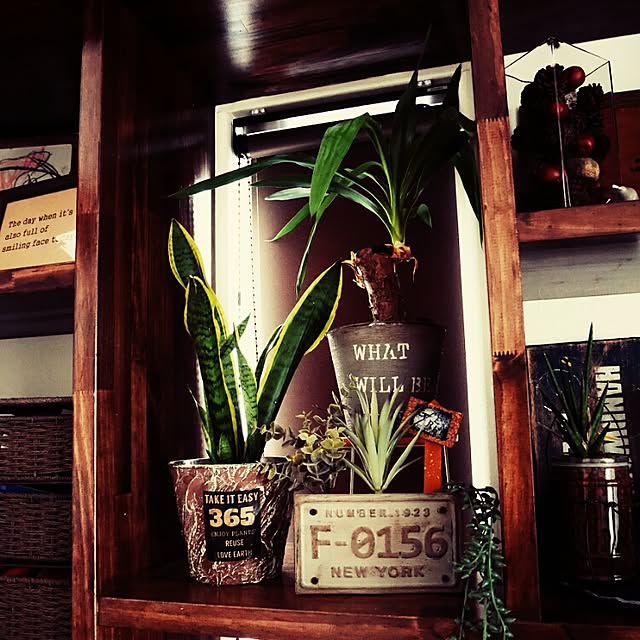 andante365さんの実例写真