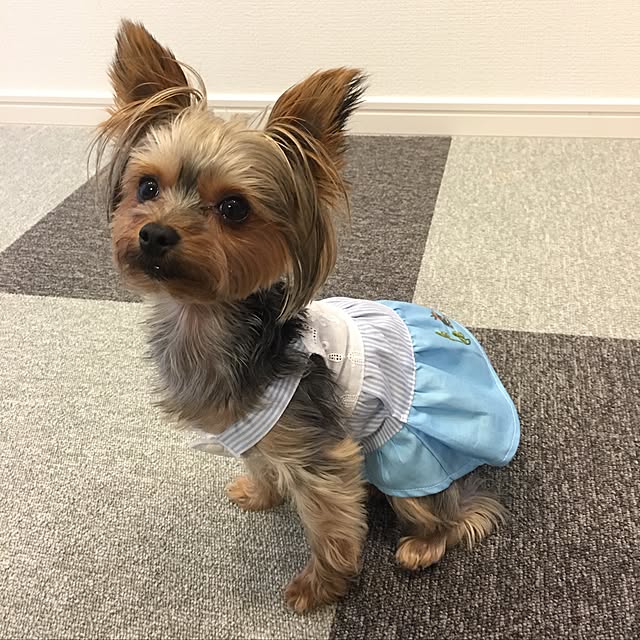 Leeさんの実例写真