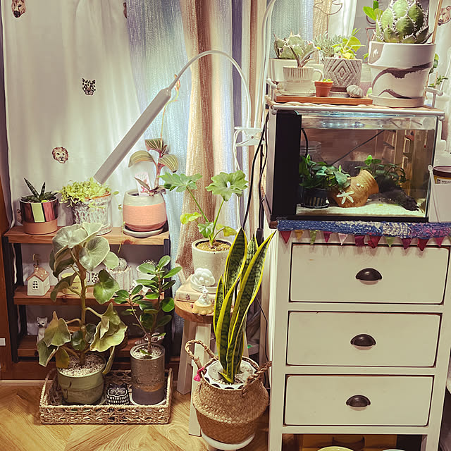 Doolさんの実例写真