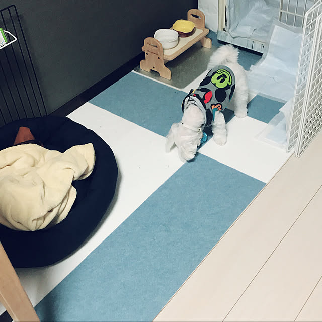 chiichimuさんの実例写真