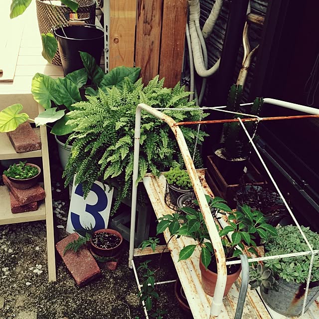 akiさんの実例写真