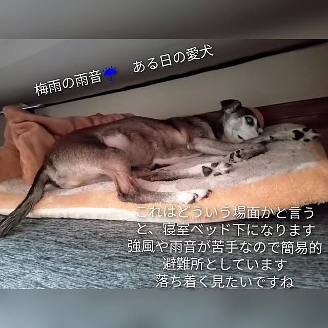 moruさんの部屋