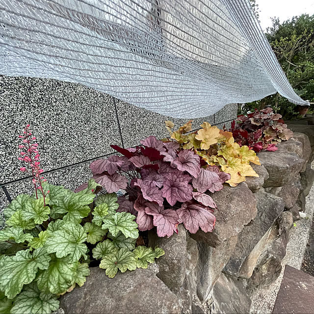 buchiさんの実例写真