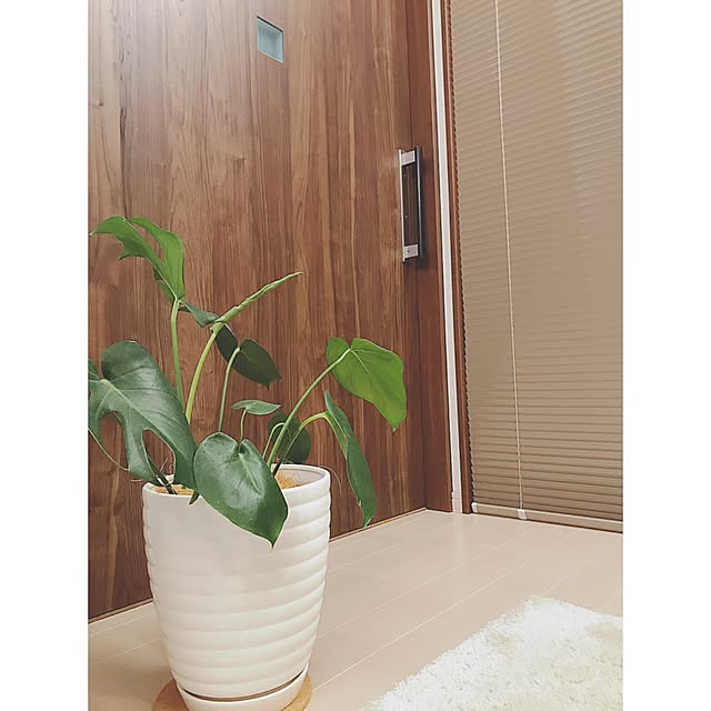 sayさんの実例写真
