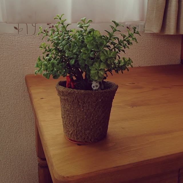 lapisさんの実例写真