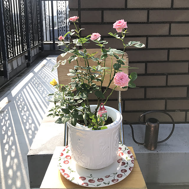 fuyiqian1026さんの実例写真