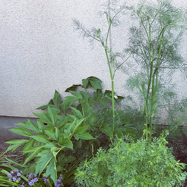 Takenoyaさんの実例写真